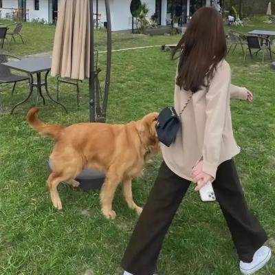 恋爱小说