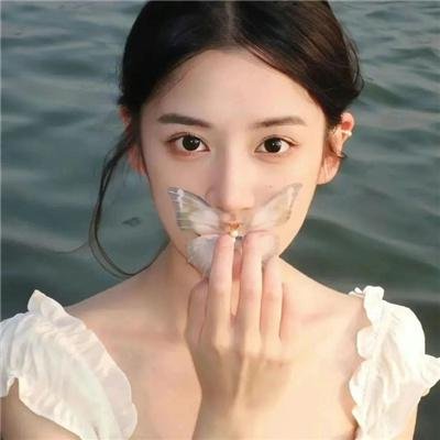 鸟瞰人生